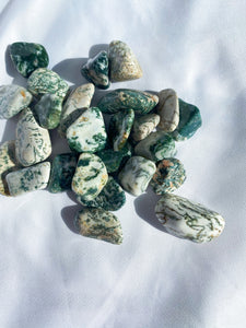 Tree Agate Tumble