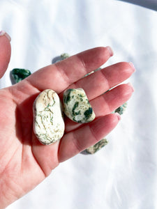 Tree Agate Tumble